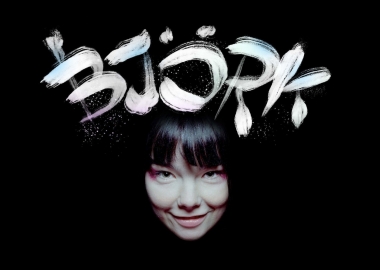 ბიორკის კლიპების ანატომია