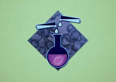 ქართველი მეცნიერები ციტირების საერთაშორისო რეიტინგებში