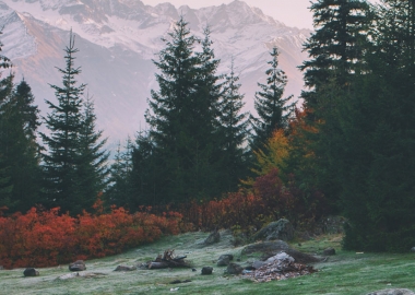 ლანდშაფტი და სრულყოფილი გეომეტრია