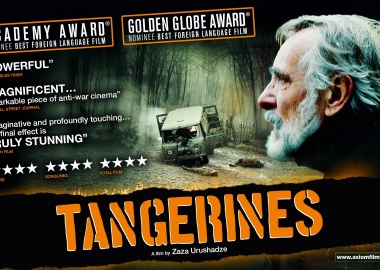 “მანდარინები” IMDB-ს ტოპ-250 საუკეთესო ფილმებს შორის მოხვდა