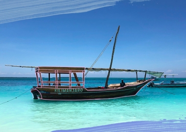 მოგზაურობა აფრიკაში, კუნძულ ზანზიბარზე