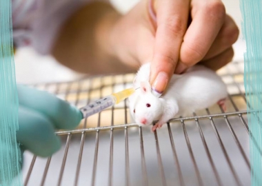 კიბოს ინოვაციური წამალი - დეტალები და პროგნოზები