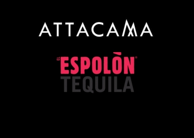 პროექტ ATTACAMA-ს პირველი ღონისძიება