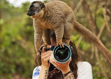 ნადირობის ჰუმანური ალტერნატივა