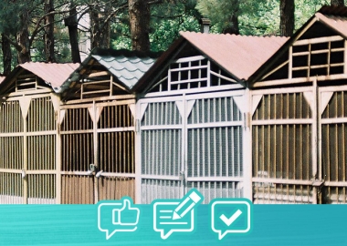 მკითხველის გამოხმაურება: გარაჟი უნდა დასრულდეს