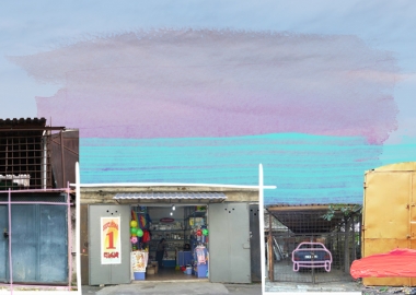 ავტოფარეხების ადაპტაციის და ტრანსფორმაციის გზები