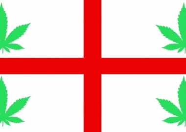 ხშირად დასმული კითხვები - კანონმდებლობა მარიხუანასთან დაკავშირებით