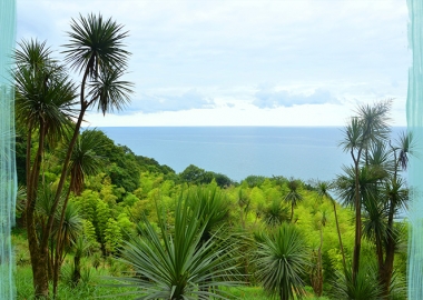 ბათუმის ბოტანიკური ბაღი