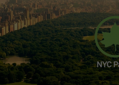 ნიუ-იორკში მდგარი ყველა ხე რუკაზე აღრიცხეს