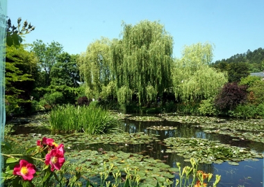 კლოდ მონეს სამოთხის ბაღი ჟივერნიში, პარიზის მახლობლად