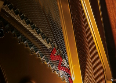 29 აგვისტო დილიდან