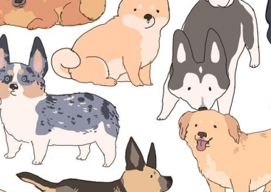 ძაღლის ჯიშების რეიტინგი ფინანსური ზარალის მიხედვით