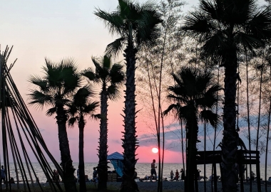 Echowaves დამწყებთათვის - რა ხდება ანაკლიაში