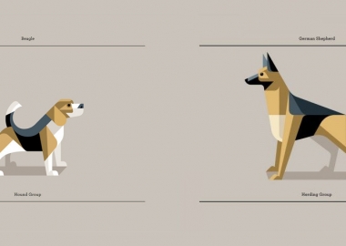 ძაღლის 5 ყველაზე პოპულარული ჯიში, რომლებსაც არასწორად ვექცევით