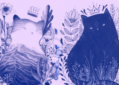 8 მითი კატების შესახებ