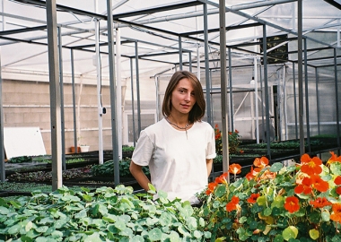 ქოთნიდან თეფშზე - ყველაზე ჯანსაღი მიკრომწვანილები საქართველოდან