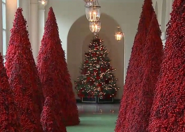 27 ნოემბერი დილიდან 