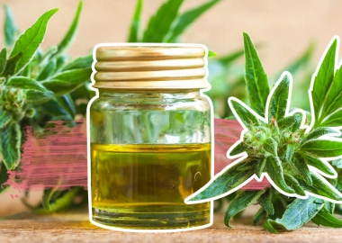 კანაფის ზეთის სამკურნალო თვისებები