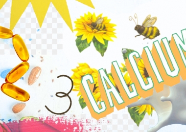 ორგანიზმისთვის სასიცოცხლო ნივთიერებები, რომლებიც დანამატების სახით შეგვიძლია მივიღოთ