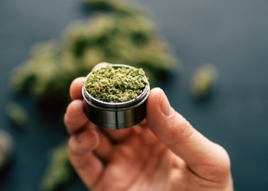 კანაფის წარმოება შეერთებულ შტატებში ლეგალური გახდა