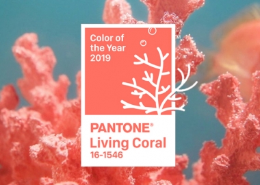 2019 წლის ფერი – კომპანია Pantone-ის ვერსიით
