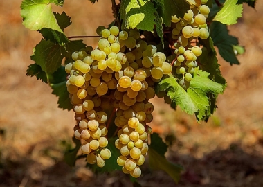 9 იანვარი  დილიდან 