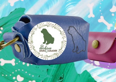 რინგო - ძაღლი სოციალური პასუხისმგებლობით