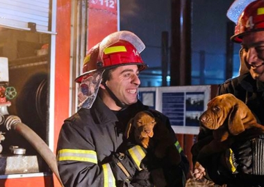 18 მარტი დილიდან