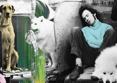 "1961-1978 წლების ძაღლების გამოფენები" - ბრიტანეთში ახალი ფოტოალბომი გამოსცეს