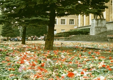 9 აპრილი დილიდან 