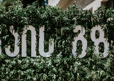 „ჩაის გზა“ –  გურიის ახალი ტურისტული შესაძლებლობა