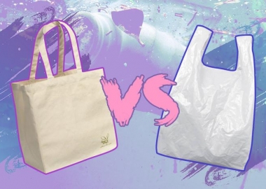 მრავალჯერადი ნაჭრის ჩანთა გარემოსთვის პოლიეთილენის პარკზე მეტად საზიანოა - VICE