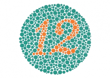 შეამოწმეთ, ხართ თუ არა დალტონიკი - იშიჰარას ტესტი "ფერების სიბრმავეზე"