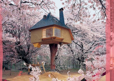 ტრენდი: ხეების კენწეროებში აშენებული სახლები, მათი არქიტექტურა და დიზაინი