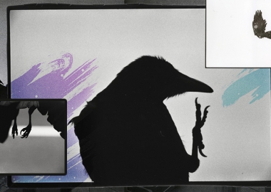 "ყვავების მარტოობა" - იაპონელი ფოტოგრაფის ავტობიოგრაფიული შემოქმედება