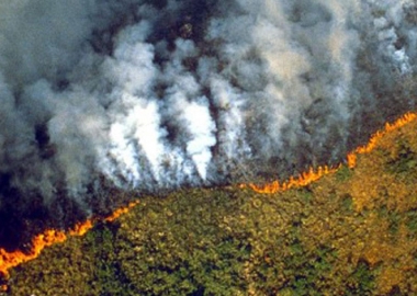 23 აგვისტო დილიდან 