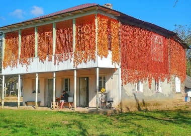 ჩირის ფარდები მარტვილში - დღის ფოტო