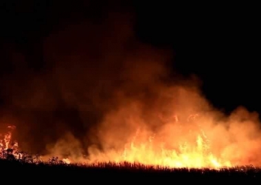 სვანეთის ტყე იწვის