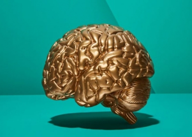 5 მეცნიერულად დადასტურებული გზა, რომელიც თქვენს ტვინს გააძლიერებს