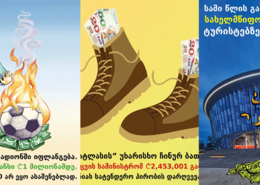 2019 წლის საბიუჯეტო სახსრების ფლანგვის 19 ფაქტი - ფლანგვის დეტექტორისგან