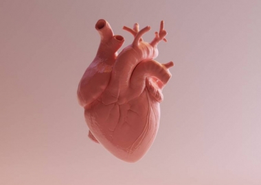 გულის იშემიური დაავადების დროს მედიკამენტური თერაპია ისეთივე ეფექტურია, როგორც ქირურგიული სტენტირება ან შუნტირება