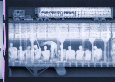 რენტგენით დანახული არალეგალური ემიგრაცია - ნოელ მეისონის ფოტოპროექტი