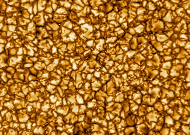 31 იანვარი დილიდან 