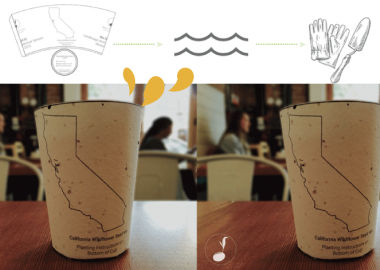 ყავის ჭიქები, საიდანაც გადაგდების შემდეგ ხე ან მინდვრის ყვავილი იზრდება