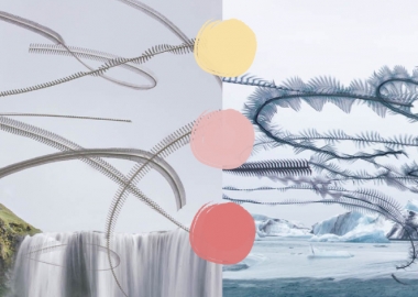 ცხოველებისა და ფრინველების მოძრაობის აღბეჭდვით გატაცებული ფოტოგრაფები