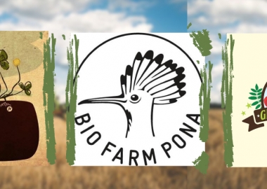 ეკოლოგიურად სუფთა პროდუქტის მწარმოებლები - ბიომეურნეობა საქართველოში