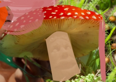 200000 წლის წინათ, მოულოდნელად, ადამიანის ტვინი სიძლიერით გაორმაგდა. რატომ?