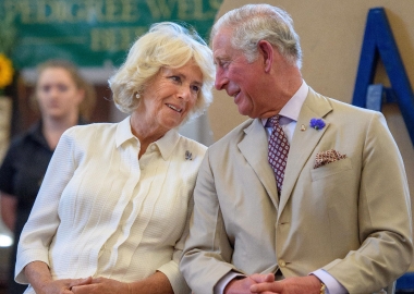 პრინც ჩარლზს კორონავირუსი დაუდასტურდა