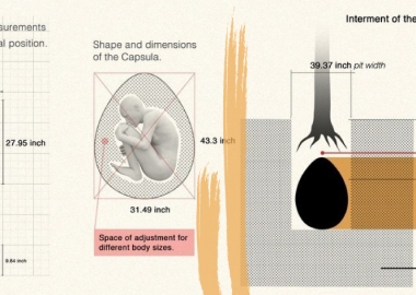 კუბოების დასასრული - ორგანული სამარხი გარდაცვლილს მცენარედ გადააქცევს