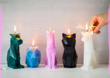 დეკორატიული ცხოველების ფორმის სანთლები, რომლებსაც სათამაშო ჩონჩხიც მოჰყვებათ